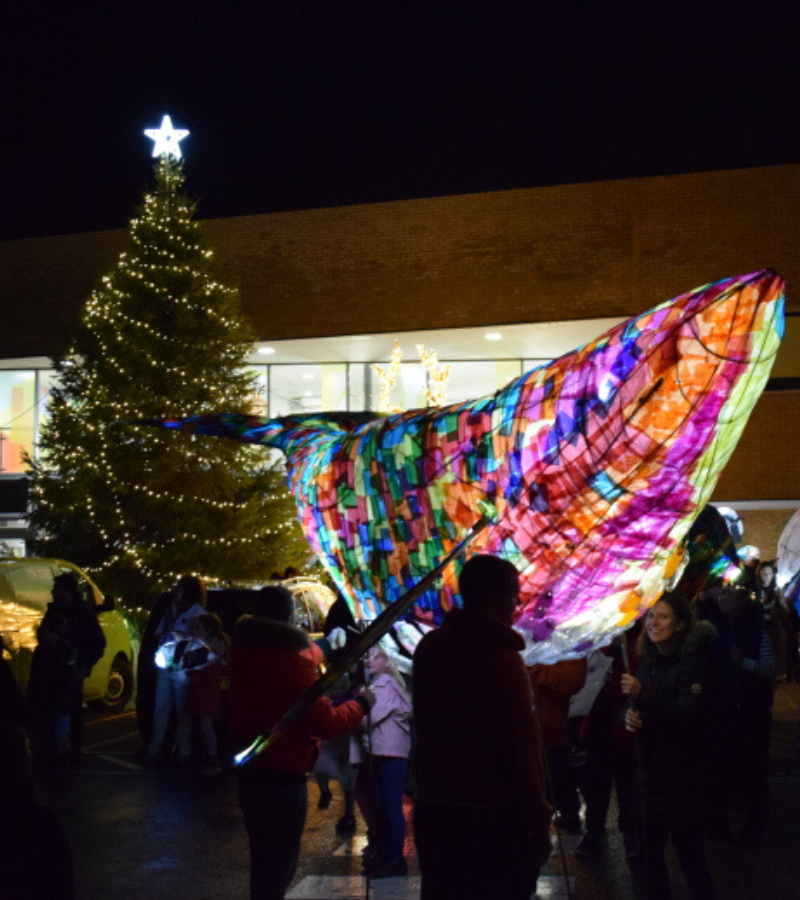 Christmas Lights Festival