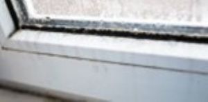 Condensation on window
