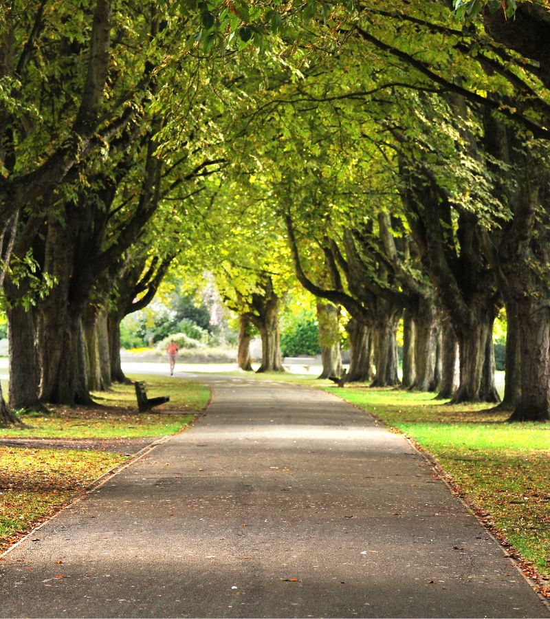 A photo of Florence Park in summer