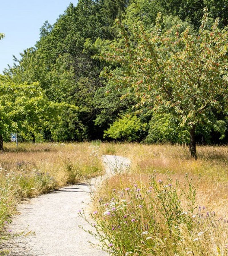 Oxford burial meadow