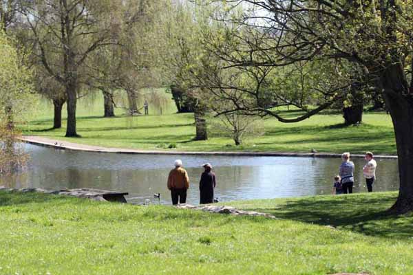 Pond in Cutteslowe Park