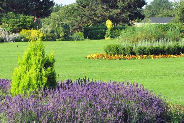 Flowerbeds in Cutteslowe Park