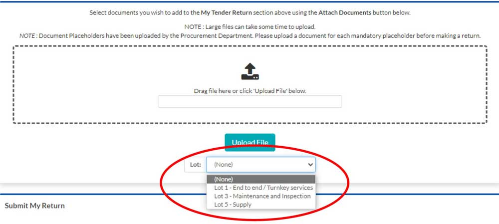 Screenshot showing the upload files screen on the Dynamic Purchasing System for EV charging tender on the In-tend portal