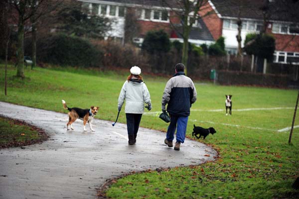 People walking with their dogs in a park