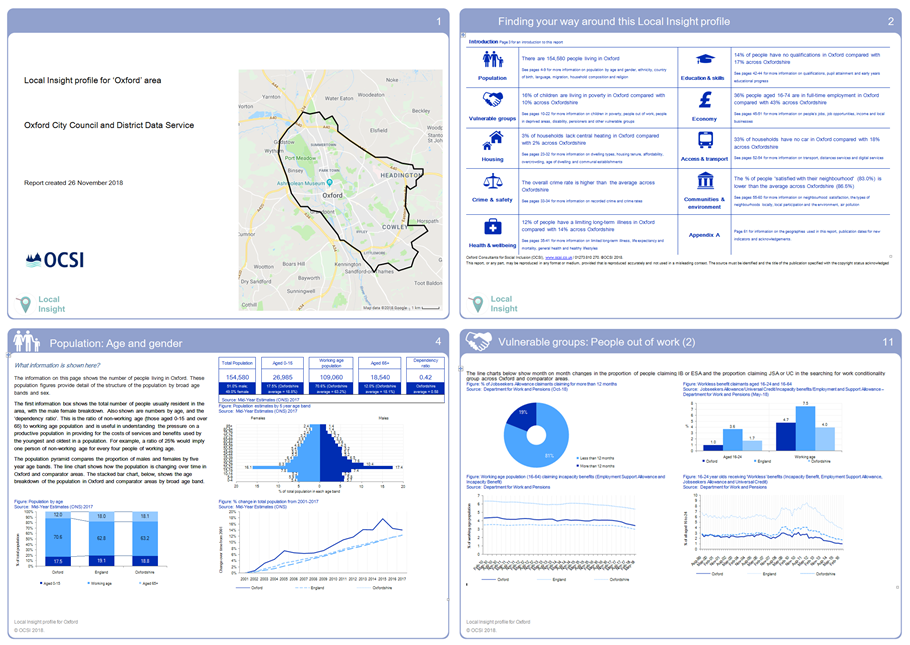 Local Insight area profiles report graphic