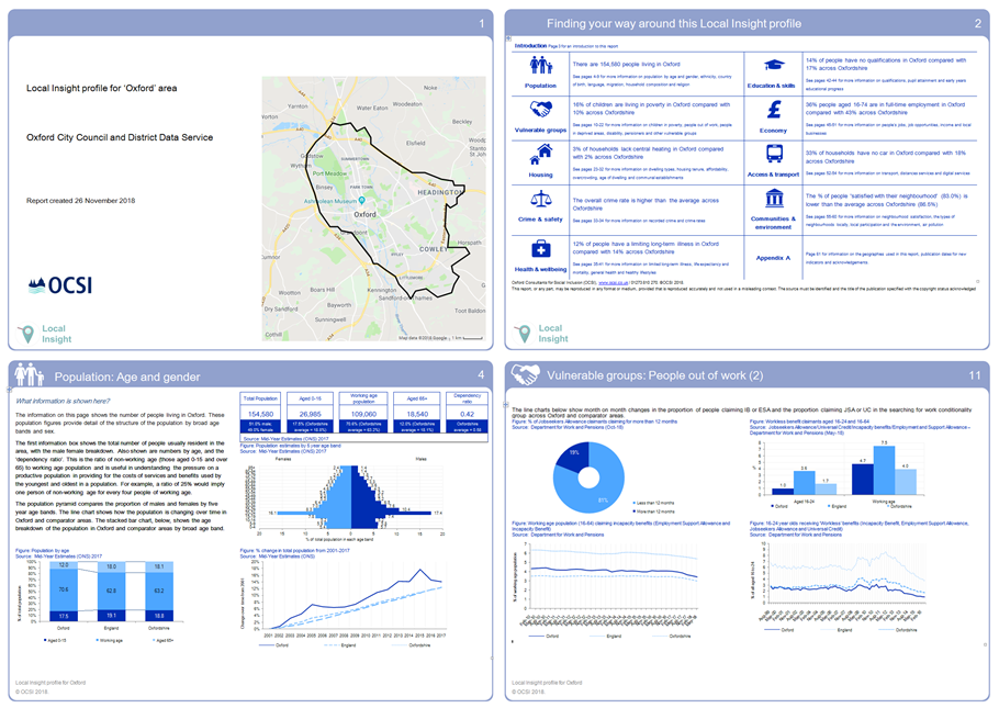 Local Insight graphic of statistics profile