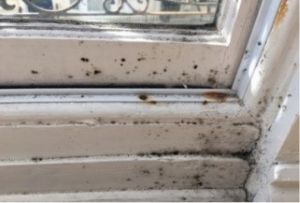 Mould on a window frame
